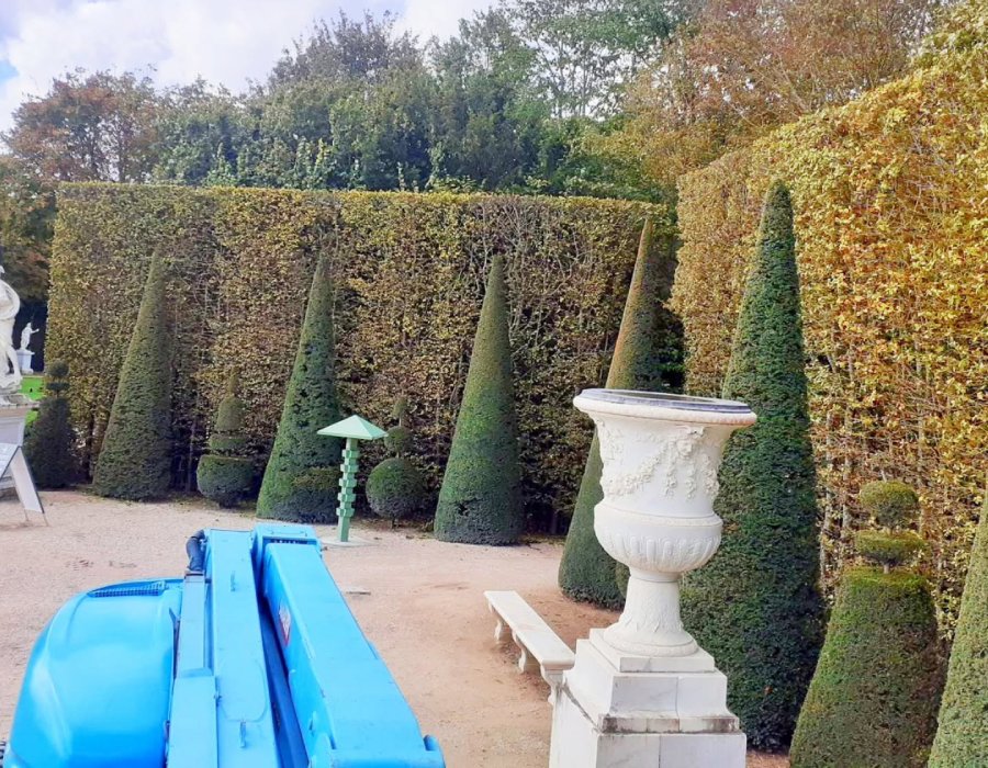 Arborexia – Taille de haies et entretien esthétique des jardins Taille architecturale et entretien de haies taillées avec précision